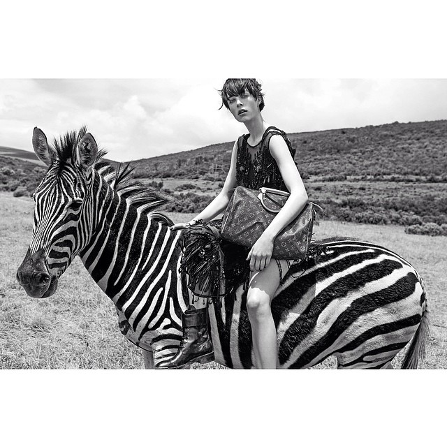 Edie Campbell
