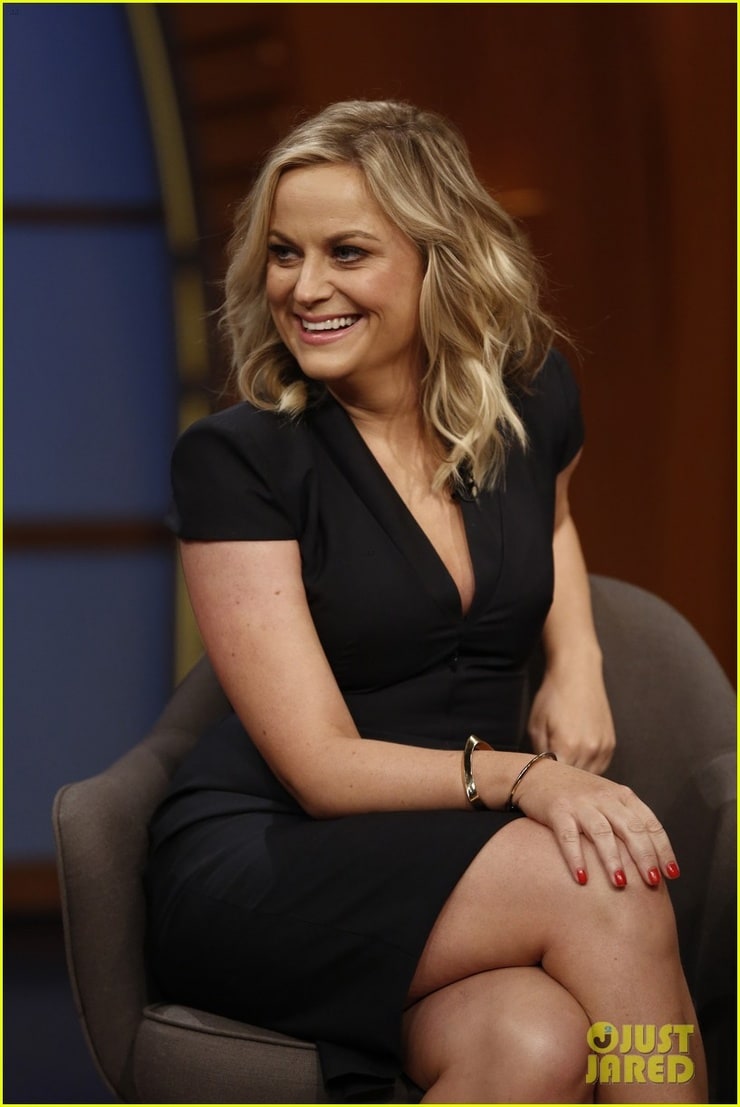 Amy Poehler