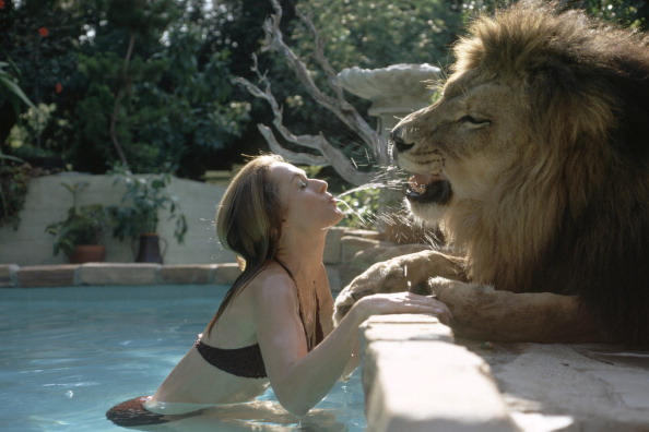 Tippi Hedren Tippi Hedren