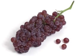 Champagne Grape