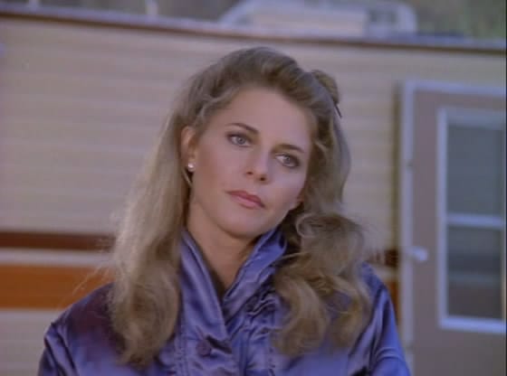 Lindsay Wagner picture