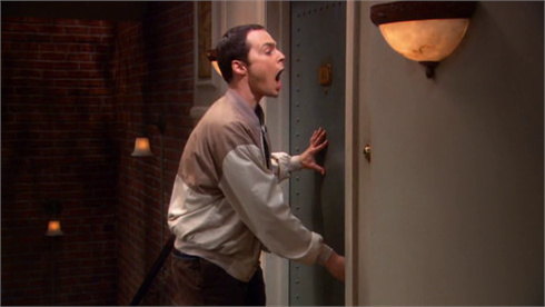 The Big Bang Theory