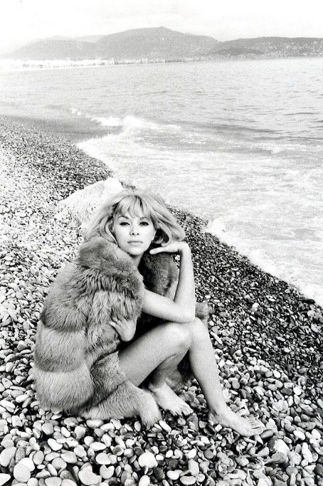 Mireille Darc Mireille Darc