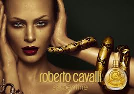 Picture of Roberto Cavalli