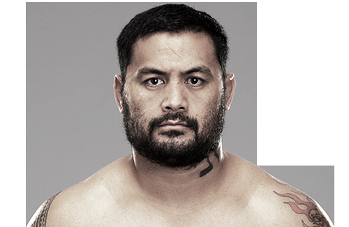 Mark Hunt