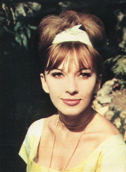 Dany Saval