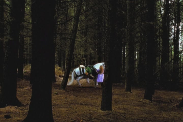 Alice Through the Looking Glass