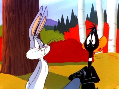 The Bugs n' Daffy Show