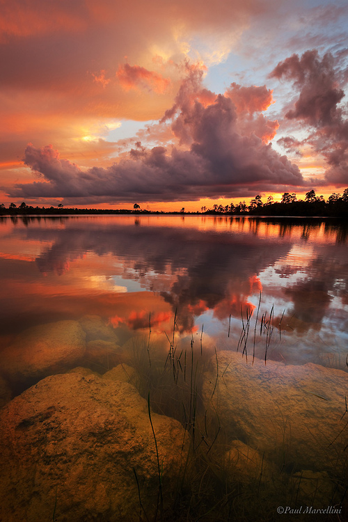 Florida