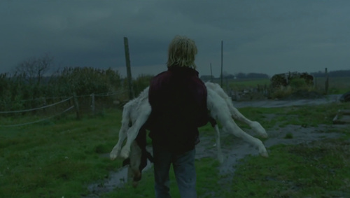 Tom at the Farm