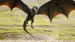 Dragons (GoT) Dragons (GoT)