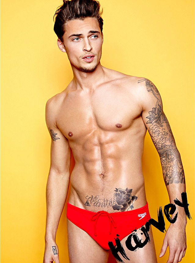 Harvey Haydon