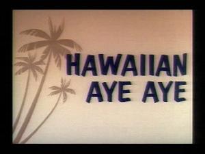 Hawaiian Aye Aye