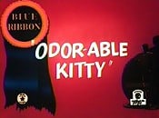 Odor-Able Kitty