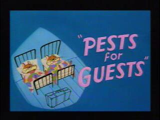 Pests for Guests