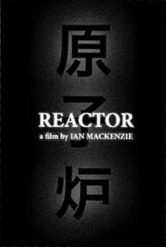 Reactor: Lessons from Fukushima
