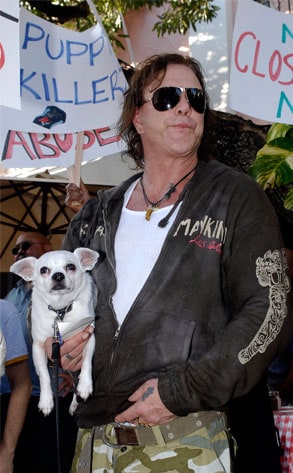 Mickey Rourke