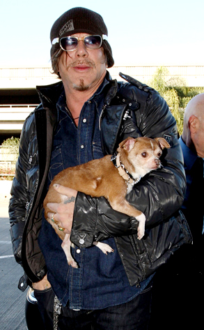 Mickey Rourke
