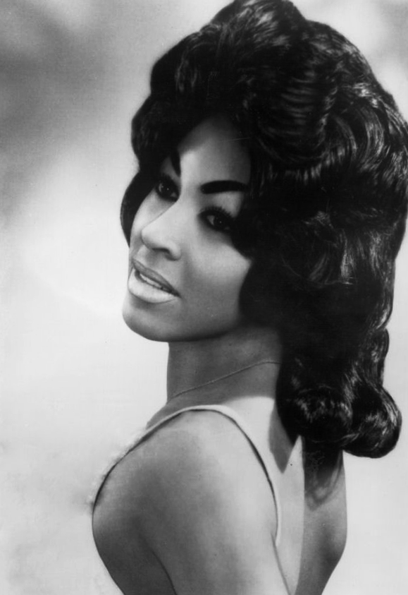 Tina Turner Tina Turner