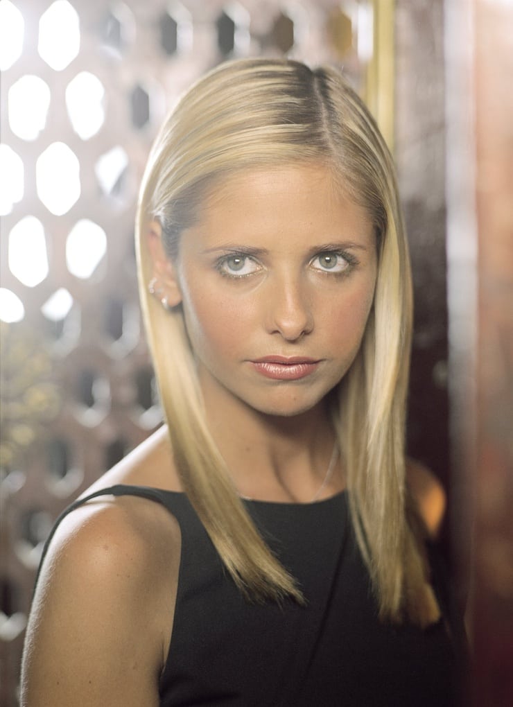 Buffy the Vampire Slayer Buffy the Vampire Slayer