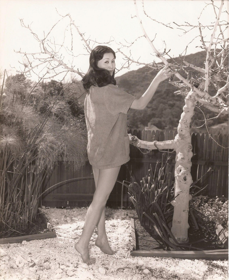 Eiko Ando
