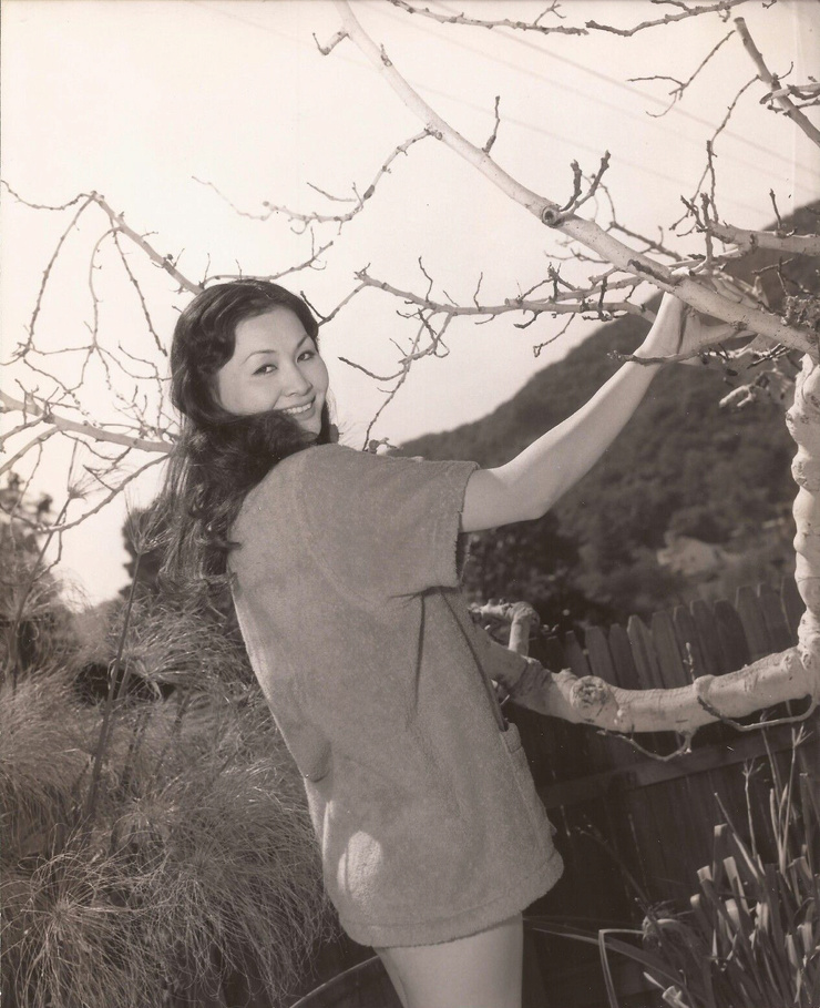 Eiko Ando