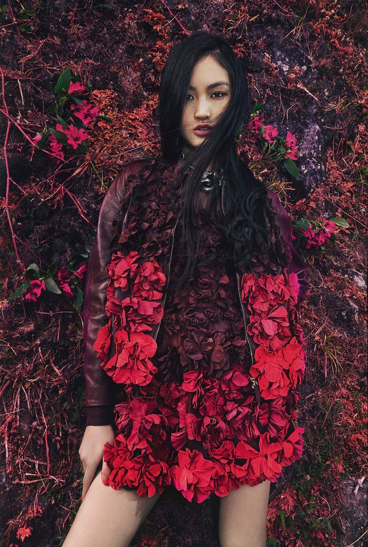 Jing Wen