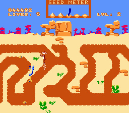 Road Runner