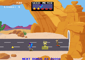 Road Runner