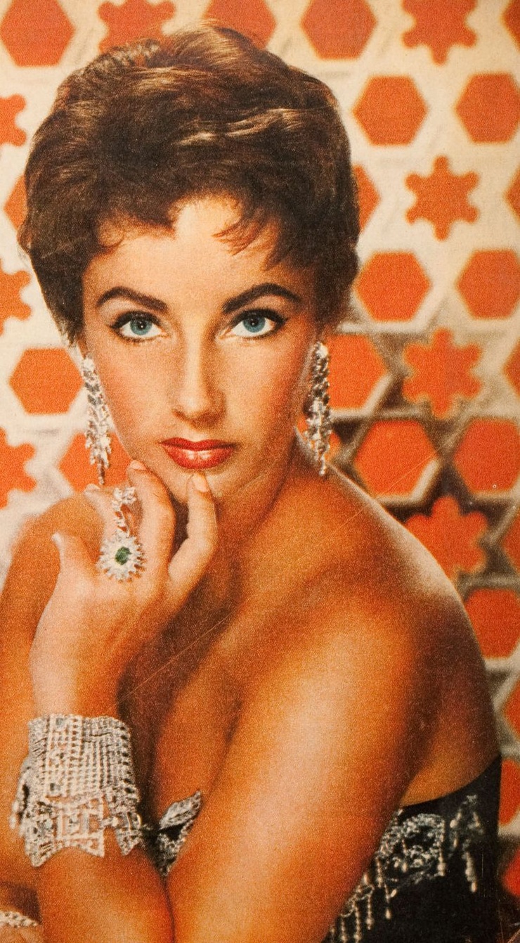 The Last Time I Saw Paris (1954)
