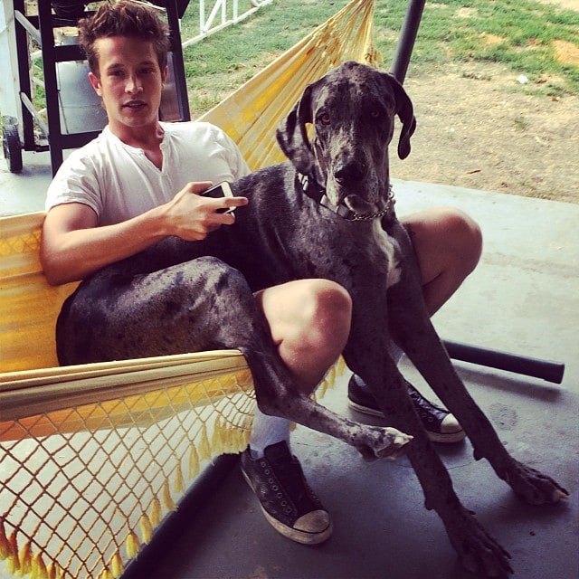 Nick Roux