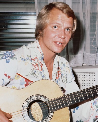 David Soul David Soul
