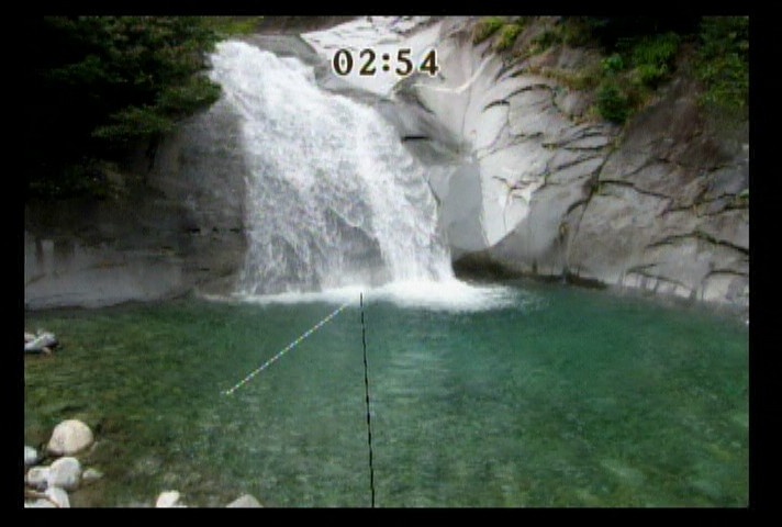 Reel Fishing Challenge