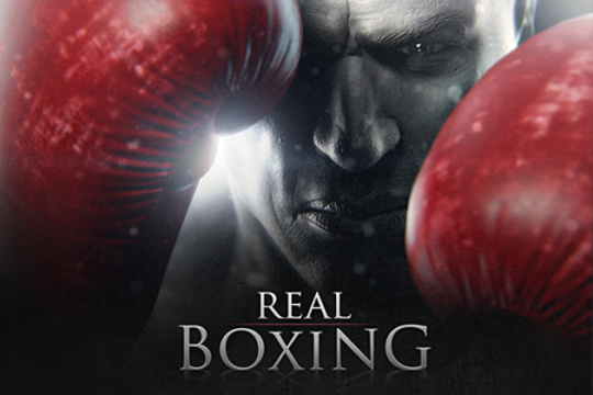 Real Boxing