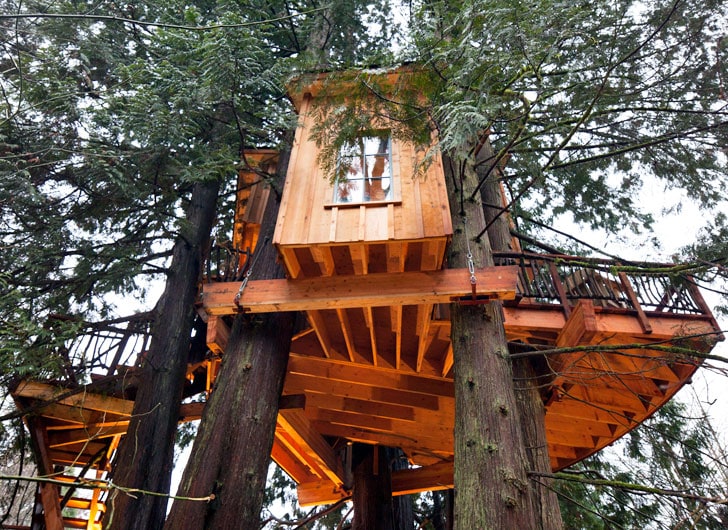 Treehouse Masters