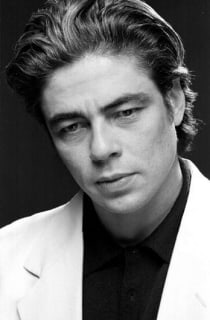 Benicio Del Toro