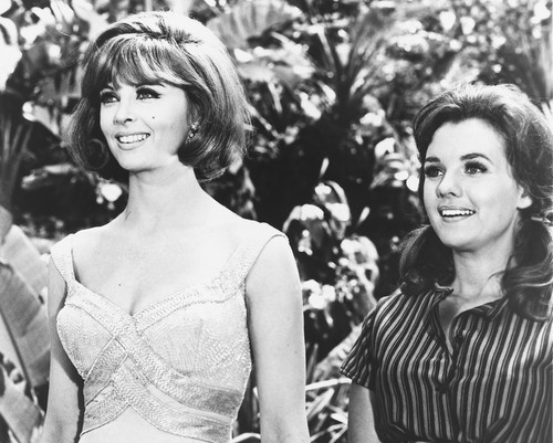 Gilligan's Island 