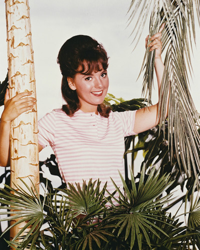 Gilligan's Island 