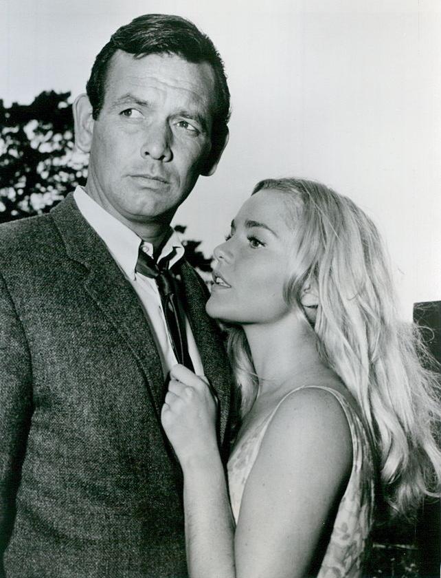 The Fugitive                                  (1963-1967)