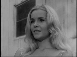 The Fugitive                                  (1963-1967)