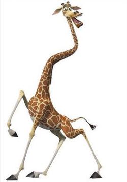 Melman Melman