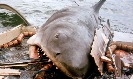Bruce the Shark