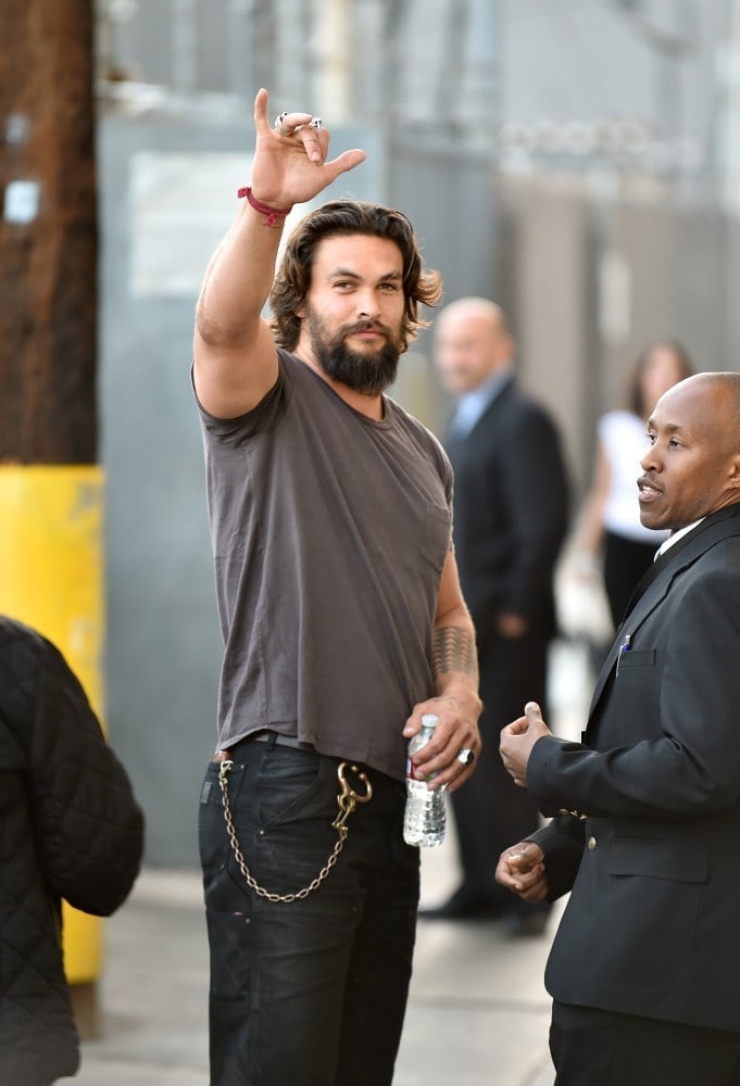 Picture of Jason Momoa