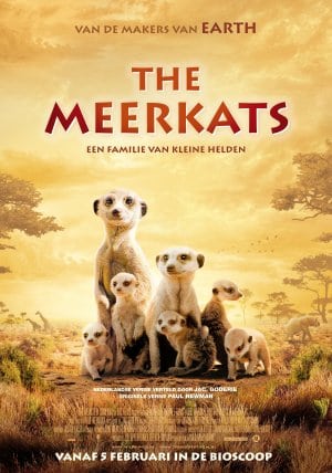 The Meerkats                                  (2008)