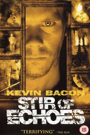 Stir of Echoes