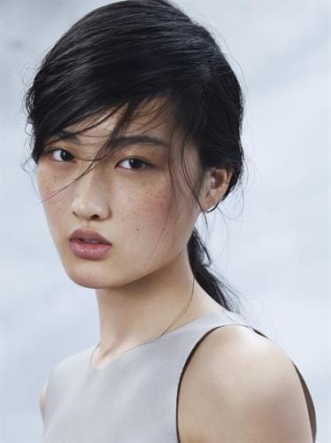 Jing Wen