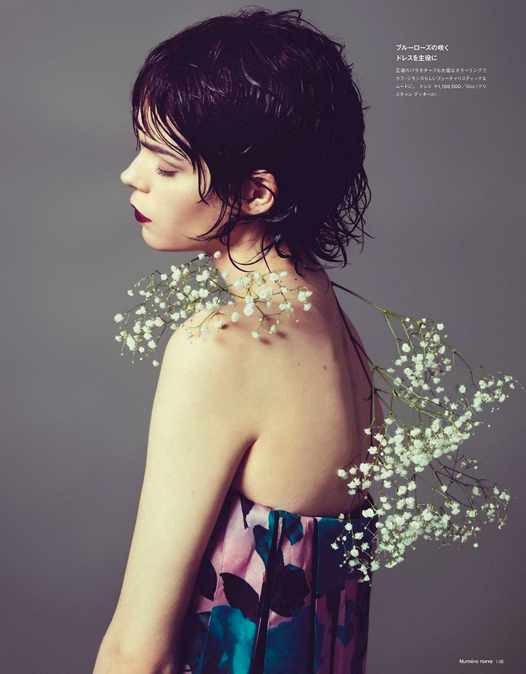 Meghan Collison