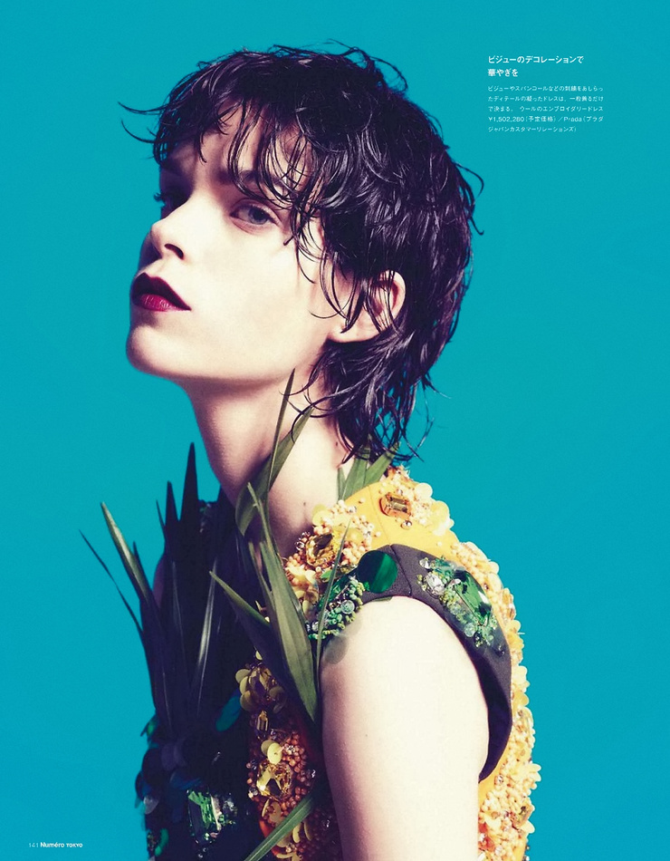 Meghan Collison