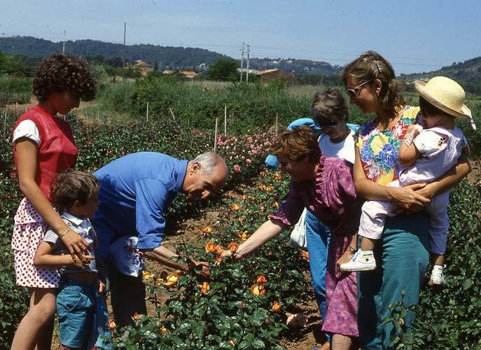 Louis de Funès