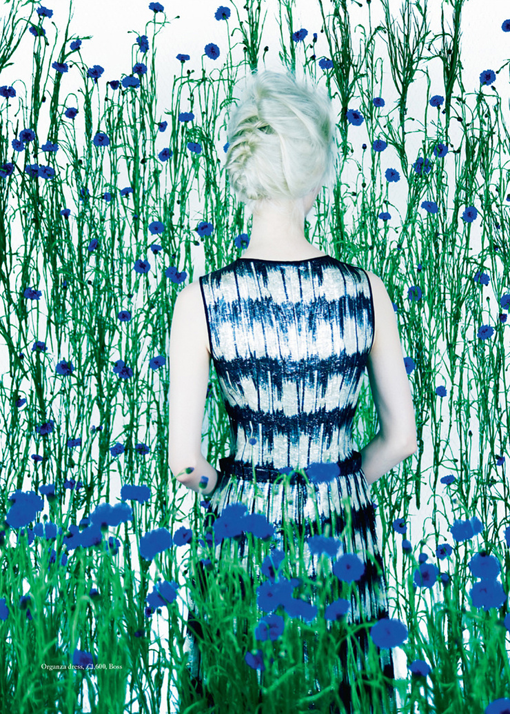 Helena Greyhorse